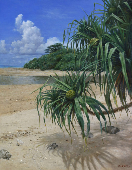 橋本直行｜沖縄の風景｜アダン