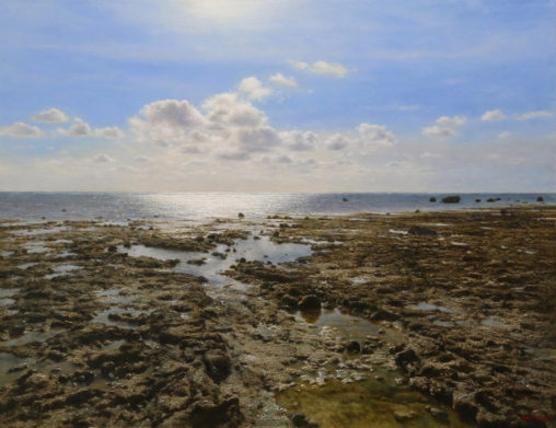 干潟の風景・石垣島白保